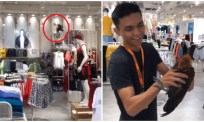 Watch: DeFacto Staff - WORLD OF BUZZ