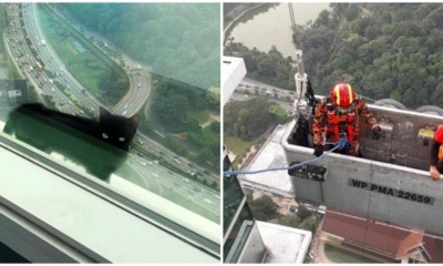 Brave Bomba Risk Their Lives to Save Poor Cat Stuck On Top of Building, and They Did It! - WORLD OF BUZZ