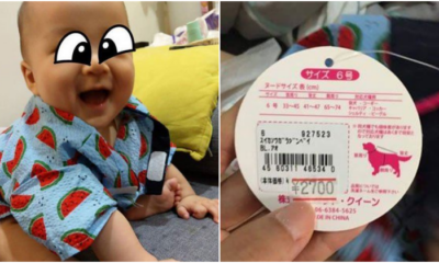 Dad Buys Cute Yukata From Japan For Baby Son, Turns Out It's a Dog Costume - WORLD OF BUZZ 1