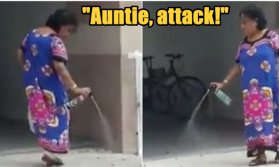 Heroic Makcik Single-handedly Battles Cockroach Army at Flat with a Can of Ridsect - WORLD OF BUZZ