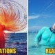 Husband's Hilarious Failed Honeymoon Pics of His Wife Go Viral, Become the 'Godzilla Challenge' - WORLD OF BUZZ
