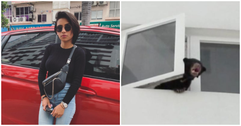 Local Singer Says She “Treated Sun Bear Like Own Baby”, Gets Massive Backlash - WORLD OF BUZZ