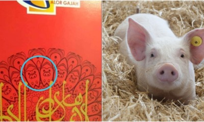 Netizen Sees Pig Design On 'Duit Raya' Packet Given by Melaka Gov't - WORLD OF BUZZ