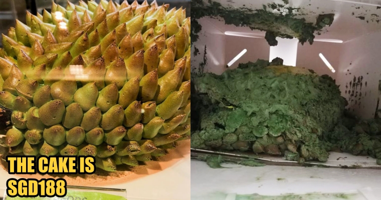 Singapore Woman Orders 3D Durian Cake Online, Received A Smashed Green Paste Instead - WORLD OF BUZZ 2