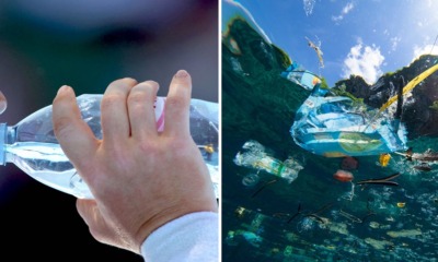 Study: We Consume An Average of 5 Grams Of Plastic A Week, The Same Weight As One Credit Card - WORLD OF BUZZ 1