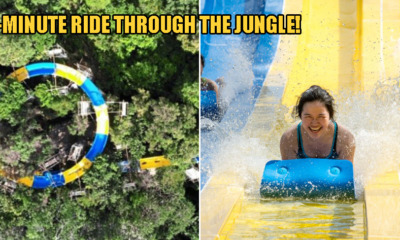 The World's Longest Slide Opening in Penang This August Goes Through the Jungle & Lasts 4 Mins! - WORLD OF BUZZ 3