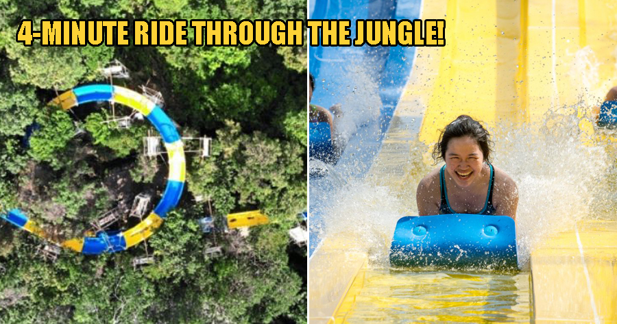 The World's Longest Slide Opening in Penang This August Goes Through the Jungle & Lasts 4 Mins! - WORLD OF BUZZ 3