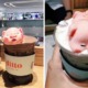 This Cafe Branch is Going Viral For Its Adorable Marshmallow Pig Sleeping on Top Of Their Bubble Tea! - WORLD OF BUZZ