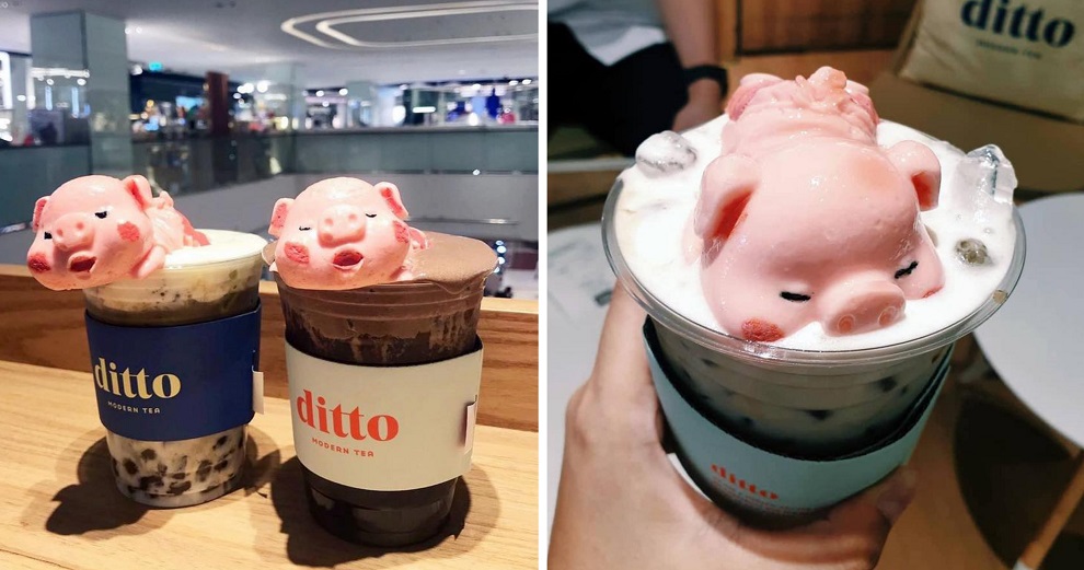 This Cafe Branch is Going Viral For Its Adorable Marshmallow Pig Sleeping on Top Of Their Bubble Tea! - WORLD OF BUZZ