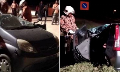 27yo M'sian Woman Excited to Spend Her First Salary Instantly Dies After Tree Falls on Car - WORLD OF BUZZ 2