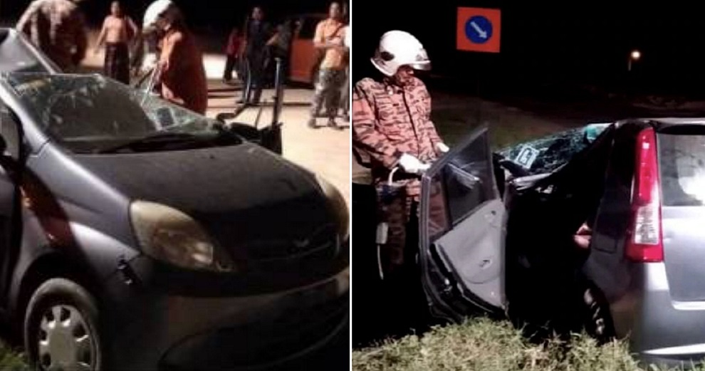 27yo M'sian Woman Excited to Spend Her First Salary Instantly Dies After Tree Falls on Car - WORLD OF BUZZ 2