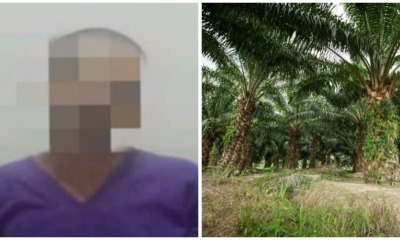 53yo Father Lures 16yo Daughter into Sabah Oil Palm Plantation To Rape Her - WORLD OF BUZZ 2