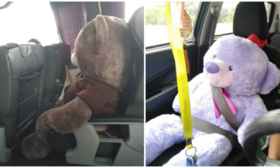 These Malaysians Are Buying Additional Travel Tickets So That They Can Bring Their Soft Toys Along - WORLD OF BUZZ