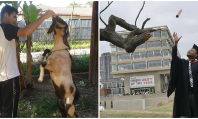 Afiq Essex Uni - WORLD OF BUZZ 2