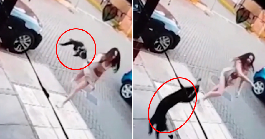 Disturbing Video Shows Woman Flinging Cat at Neighbour's House As It Kept Entering Her Home - WORLD OF BUZZ