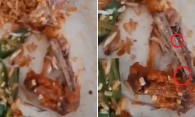 Customers in PD Mamak Grossed Out By Live Maggots Inside Fried Chicken After They Finished Eating - WORLD OF BUZZ 3