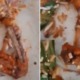 Customers in PD Mamak Grossed Out By Live Maggots Inside Fried Chicken After They Finished Eating - WORLD OF BUZZ 3