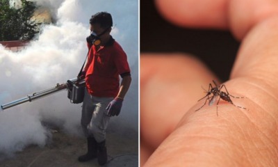 Health Minister: Dengue Cases in Malaysia Have Increased by 89% in The Past 7 Months - WORLD OF BUZZ