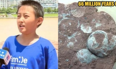 dino egg - WORLD OF BUZZ 6