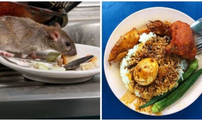 Famous Penang Briyani Restaurant Shut Down After Authorities Find Rat Poop and Dead Lizards in Kitchen - WORLD OF BUZZ 3
