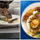 Famous Penang Briyani Restaurant Shut Down After Authorities Find Rat Poop and Dead Lizards in Kitchen - WORLD OF BUZZ 3