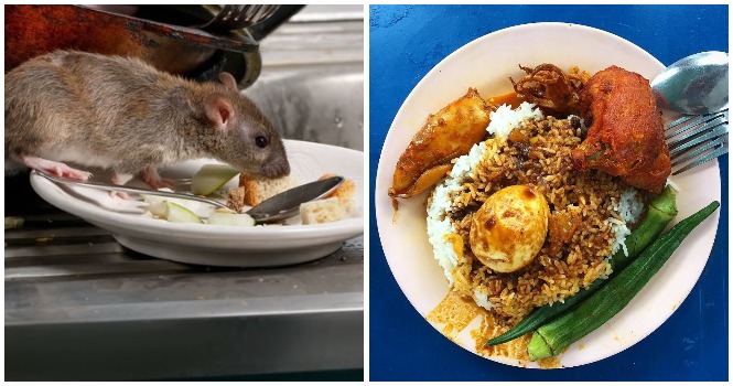 Famous Penang Briyani Restaurant Shut Down After Authorities Find Rat Poop and Dead Lizards in Kitchen - WORLD OF BUZZ 3