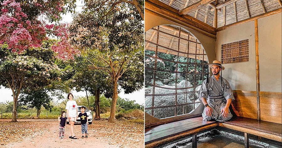 Forget Flying to Tokyo, These Places Right Here in Malaysia Will Make You Think You're in Japan! - WORLD OF BUZZ