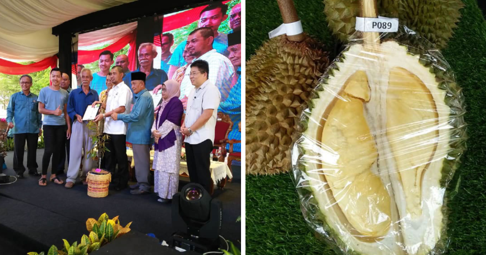 Johor Man Creates New Durian Variety, Judges Say It’s Better Than Musang King - WORLD OF BUZZ