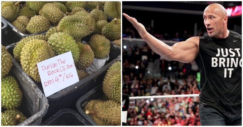 Malacca Durian Dubbed The Rock (Lima Jari) Boasts Big Flavours And A Size To Match - WORLD OF BUZZ