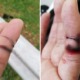 Malaysian Biker Warns Others After His Fingers Got Sliced By String Tied Around Flyover at DUKE Highway - WORLD OF BUZZ 3