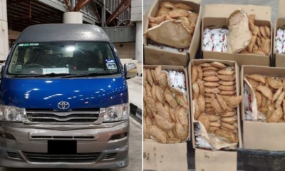 Malaysian Van Stopped at Singapore Checkpoint For Bringing in Boxes Of Curry Puffs - WORLD OF BUZZ 1