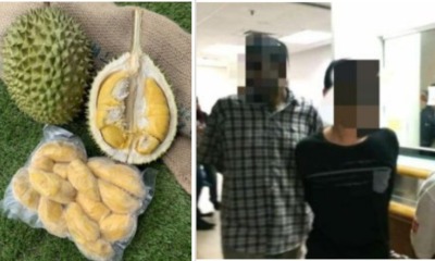 Man In Jail For Stealing Musang King Durians - WORLD OF BUZZ 1