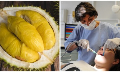 New Study Shows That Durian Can Help Control Tooth Decay and Bad Breath - WORLD OF BUZZ