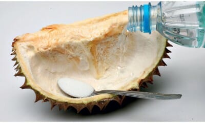 Drinking Water From Durian Husk Remedy Based On So - WORLD OF BUZZ