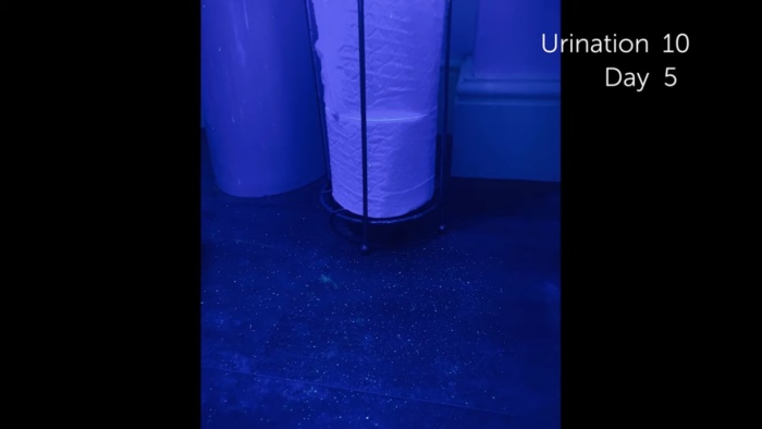 Pee6 E1563339109395