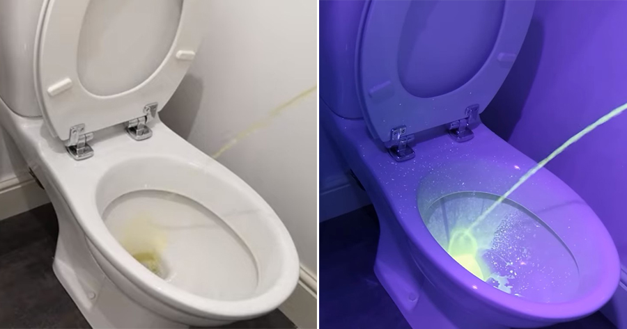 Majority of Men Have Been Aiming Wrong to Reduce Pee Splashback, Here's Why - WORLD OF BUZZ