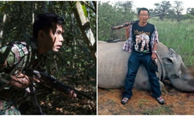 Poachers Can Now Be Shot if Posing a Threat to Perhilitan and Endangered Wildlife - WORLD OF BUZZ 2