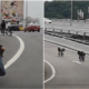 Rempit Kids Recorded Riding Their Bicycle On A Highway In Kerinchi - WORLD OF BUZZ 6