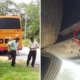 School Bus Floor Suddenly Collapses, Causing Standard 6 Boy to Fall on Road & Die - WORLD OF BUZZ