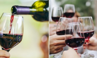 Study: Compound Found in Red Wine Could Help to Reduce Depression & Anxiety - WORLD OF BUZZ 3