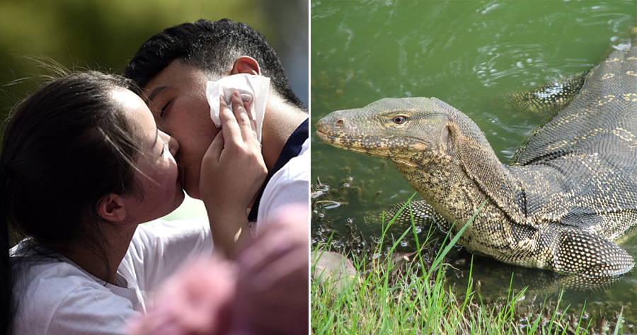 13yo Couple Jump Into River After Mum Forbids them to be Together But Lizard Makes Them Almost Drown - WORLD OF BUZZ