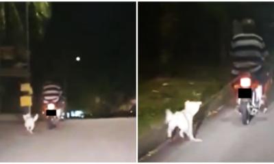 Watch: Rawang Man - WORLD OF BUZZ