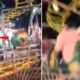 [Video] Children's Ride at Theme Park Derailed O - WORLD OF BUZZ