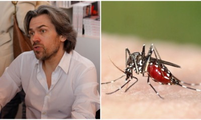 Animal Activist: We Should Not Kill Mosquitoes, We Should Give Them Blood Donations - WORLD OF BUZZ 1