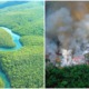 Did You Know The Amazon Has Been Burning for 3 Weeks & We Could Lose 20% of Oxygen in the World? - WORLD OF BUZZ