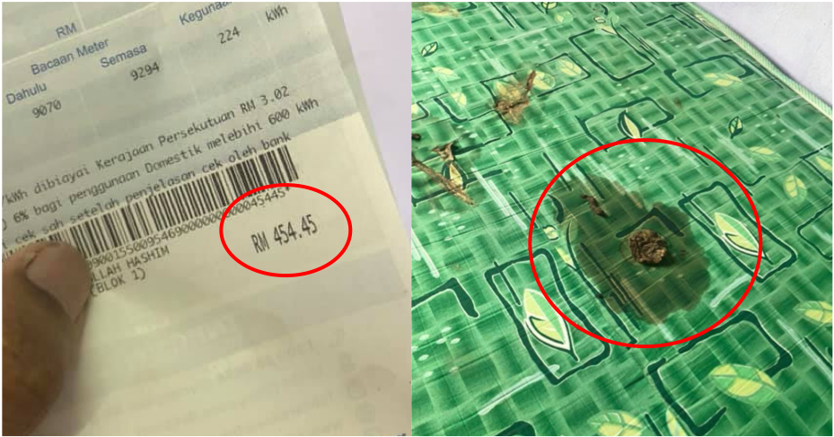 Dirty Tenant Left House Shah Alam With Cat Poop On Mattress, Unpaid Bills, And Rubbish Full Of Maggots - WORLD OF BUZZ 6