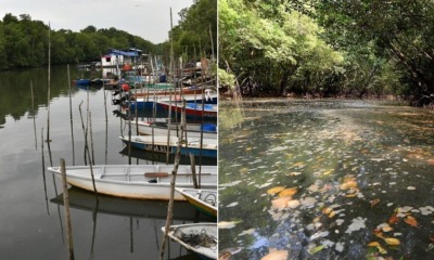 Another Johor River Becomes Black & Stinky Due To Toxic Waste Dumped By Nearby Factories - WORLD OF BUZZ
