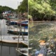 Another Johor River Becomes Black & Stinky Due To Toxic Waste Dumped By Nearby Factories - WORLD OF BUZZ