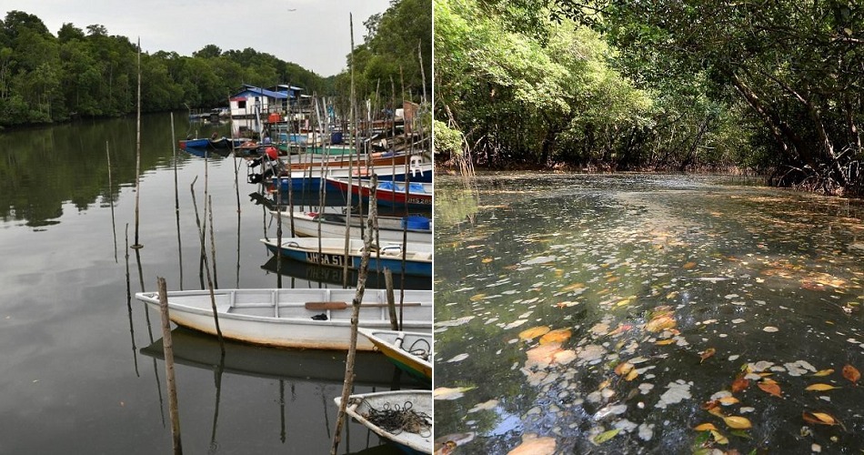 Another Johor River Becomes Black & Stinky Due To Toxic Waste Dumped By Nearby Factories - WORLD OF BUZZ