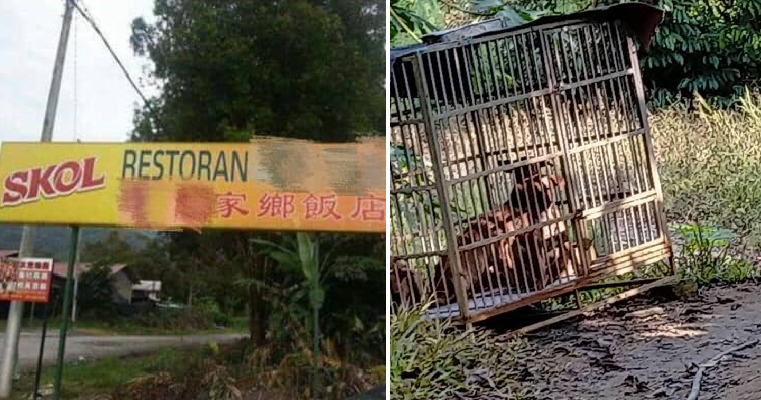 Malaysian Man Exposes Negeri Sembilan Restaurant Killing & Selling Dog Meat Illegally - WORLD OF BUZZ